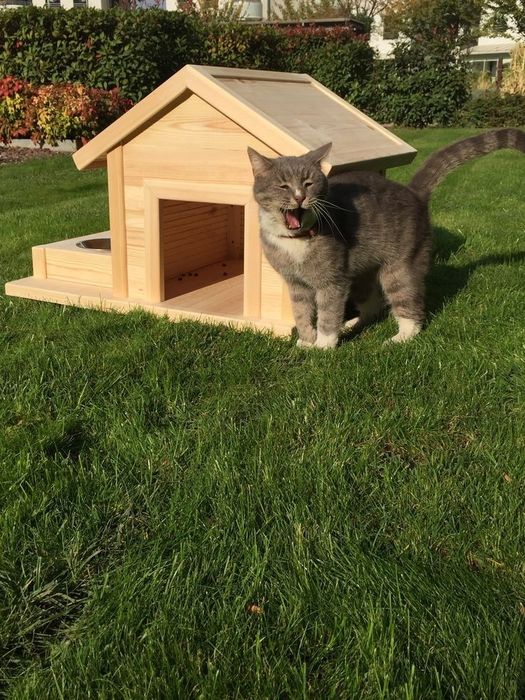 Котячі будки можна замовити у нас