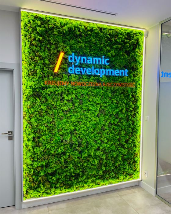 Ścianka z mchu obraz z mchu