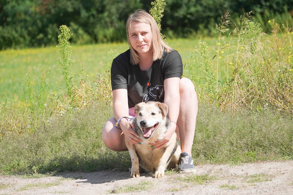 WINSTON - cudowny psi senior czeka na dom