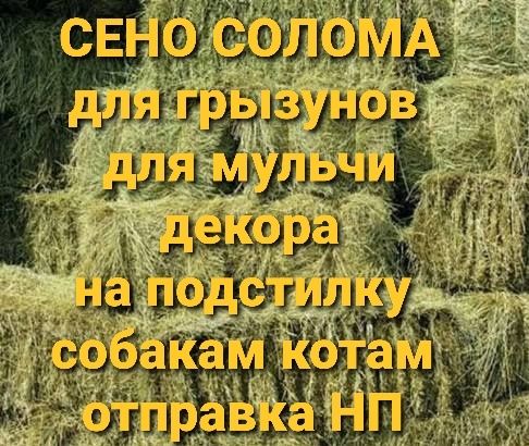 Сено солома сіно в тюках мешках  для корма, утепления будки, мульчи.