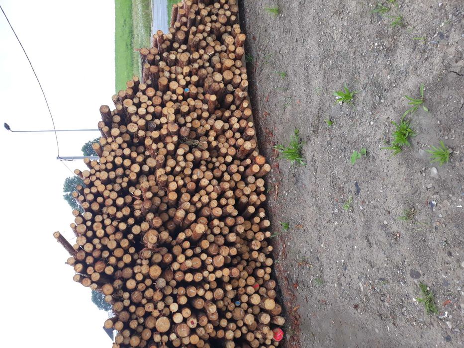 Deski szalunkowe Wieźba dachowa, ,Stemple,Łat Podbitka