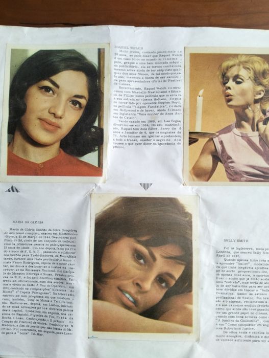 Caderneta Ídolos do Espectáculo (a faltar um cromo)