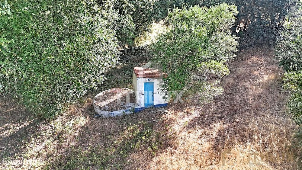 Quintinha com casa para recuperar em São Gregório,  Arraiolos