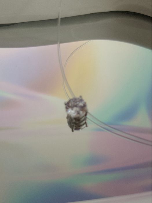 Прикраси з медичного сплаву