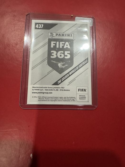 Panini FIFA 365 2024 Sticker Nr. 437 Zinedine Zidane 1972