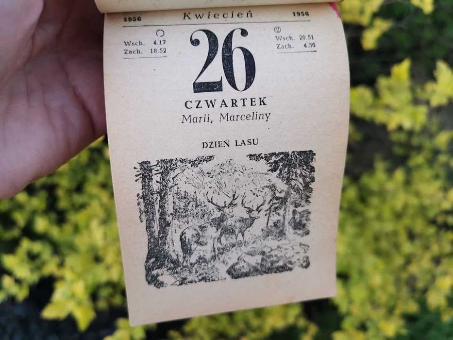 0ryginalna kartka z kalendarza 1956