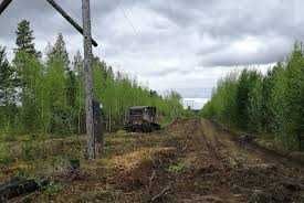 Расчистка трасс линий электропередач (ЛЭП) сучасно, ефективно з нами!