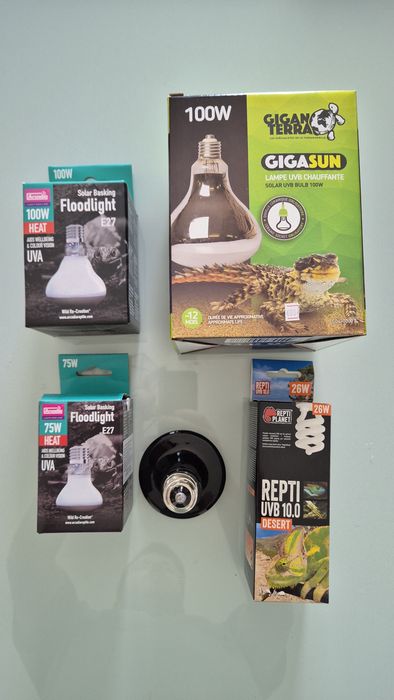 Lote de 5 lampadas para terrario