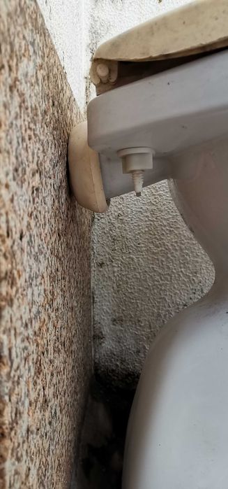 Conjunto Sanita + Lavatório Suspenso (ler a descrição s.f.v.)