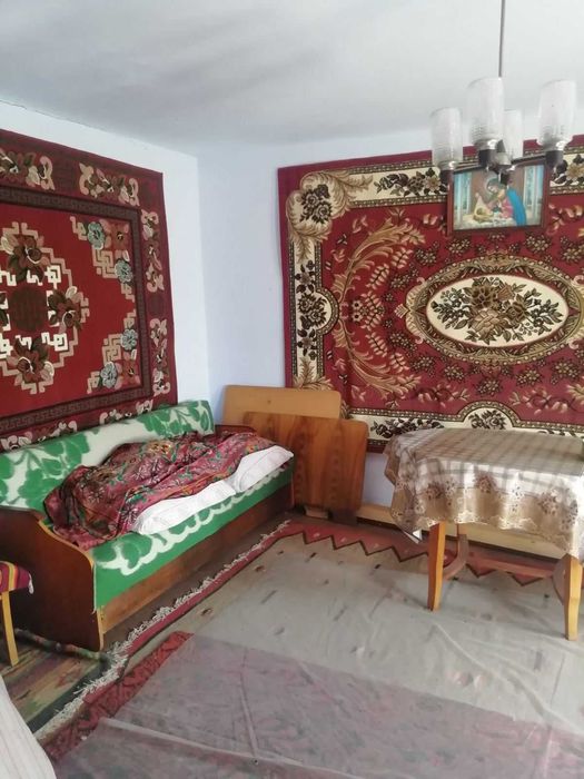 Продаж будинку з ділянкою 22 сотки в мальовничому Косові