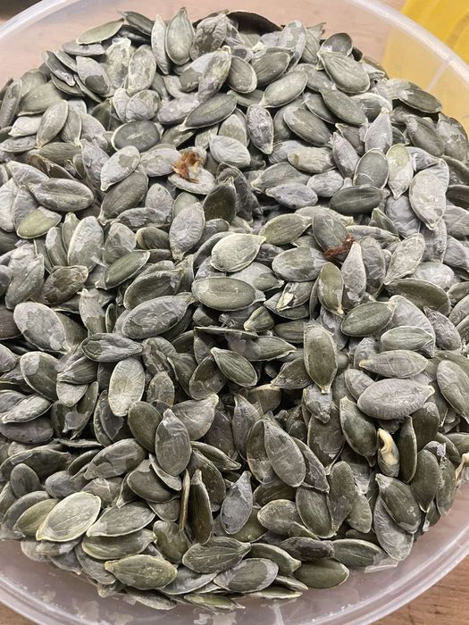 Для споживання та олії. Насіння голонасінного гарбуза. Урожай 2025