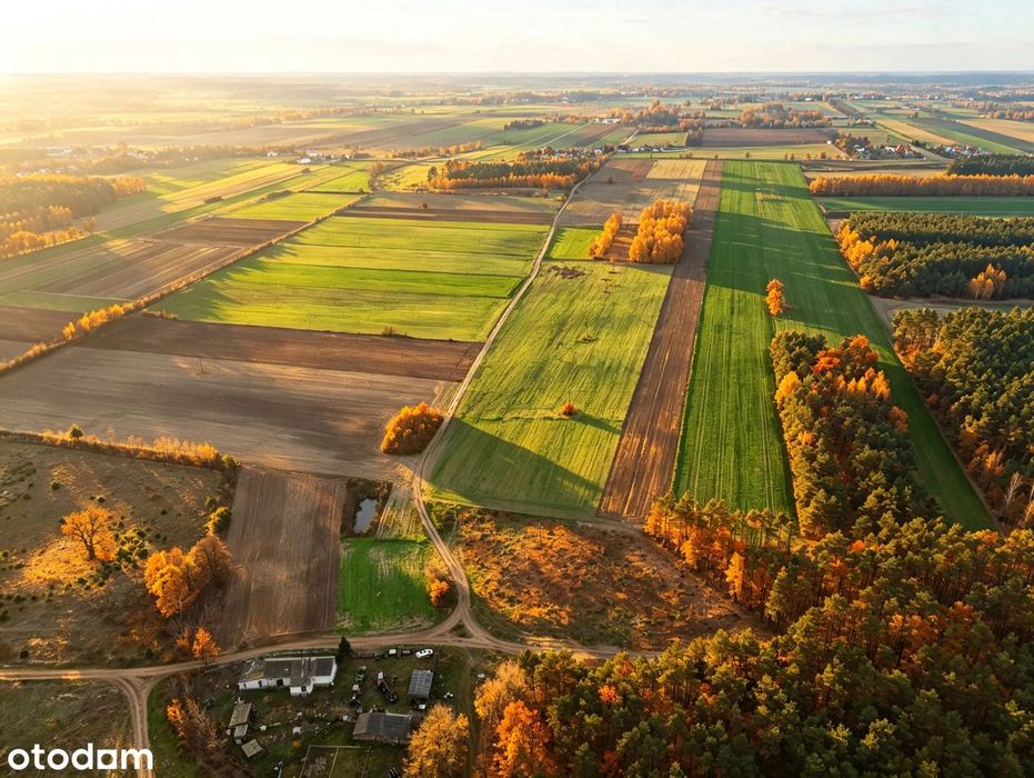 Działka 4400 m² przy lesie, media, MPZP, możliwy podział - Widok 2