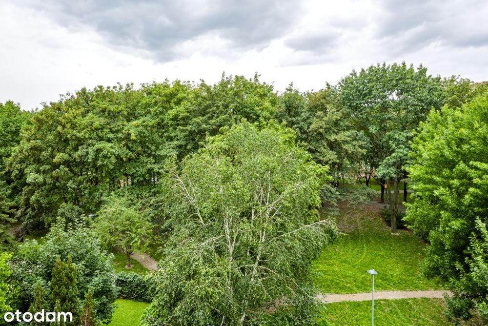 Pierwszy raz w sprzedaży
