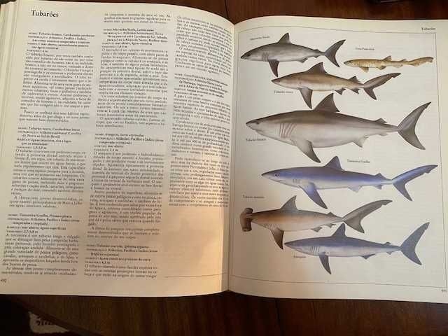 Moderna Enciclopédia de Animais