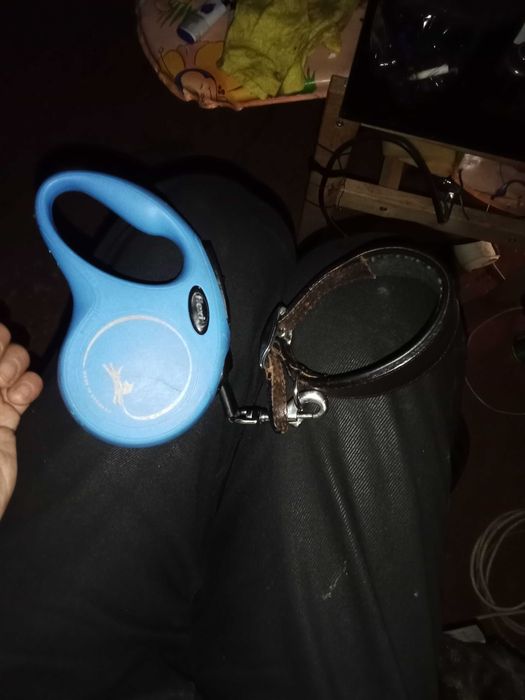 Поводок рулетка в отличном состоянии 350 грн