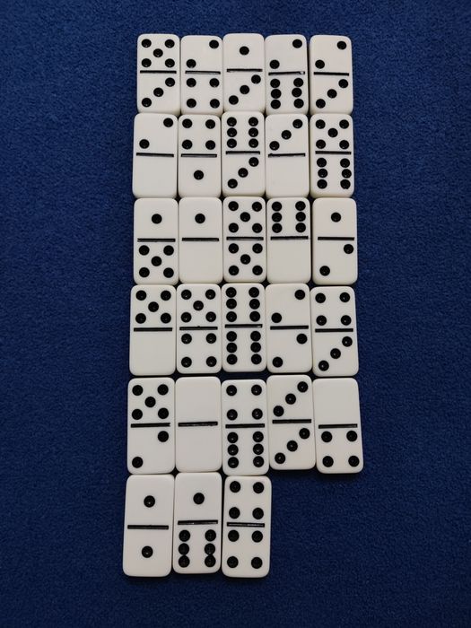 Gra dla dzieci Domino 6+