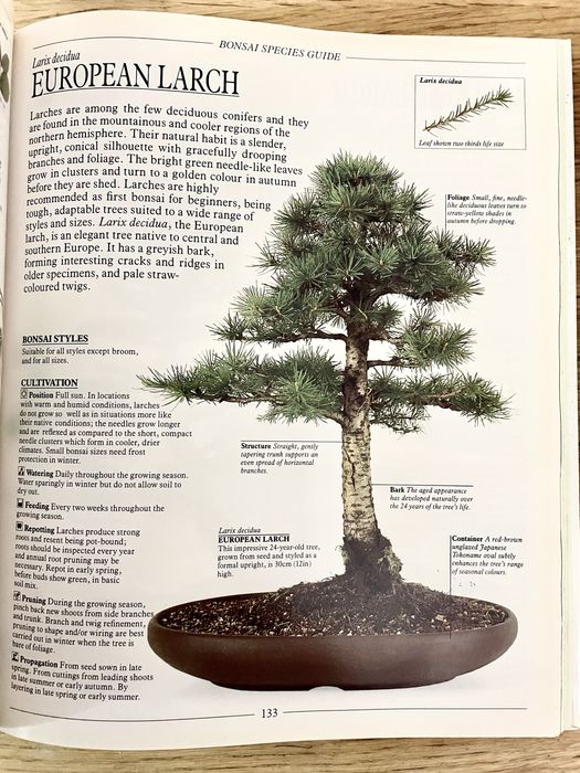 THE COMPLETE BOOK OF BONSAI