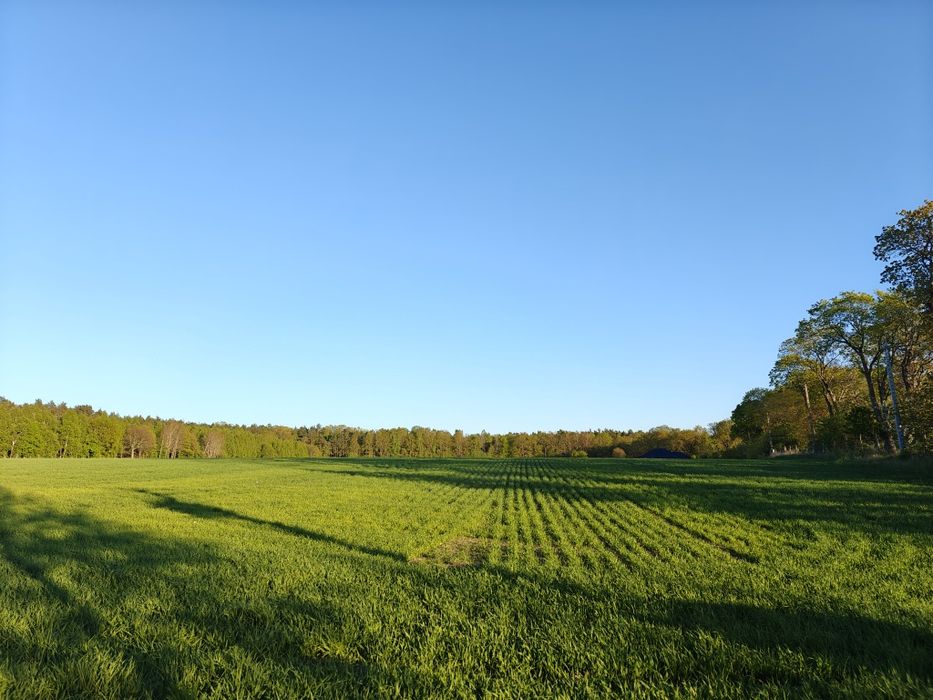 Działki siedliskowe blisko Łeby