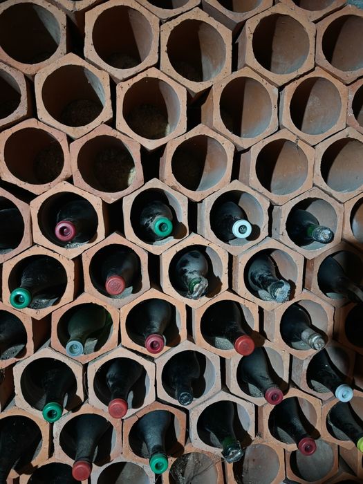 Vendo tijolos para garrafeira