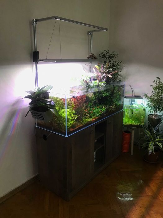 Аквариум д120/ш45/в40 стекло 10мм Диамант(Оптивайт).