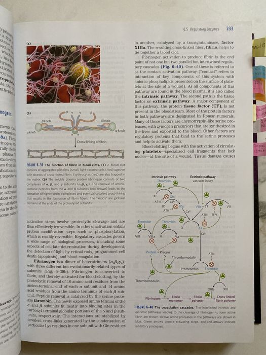 Livro técnico Lehninger - Principles of Biochemistry 6th Edition