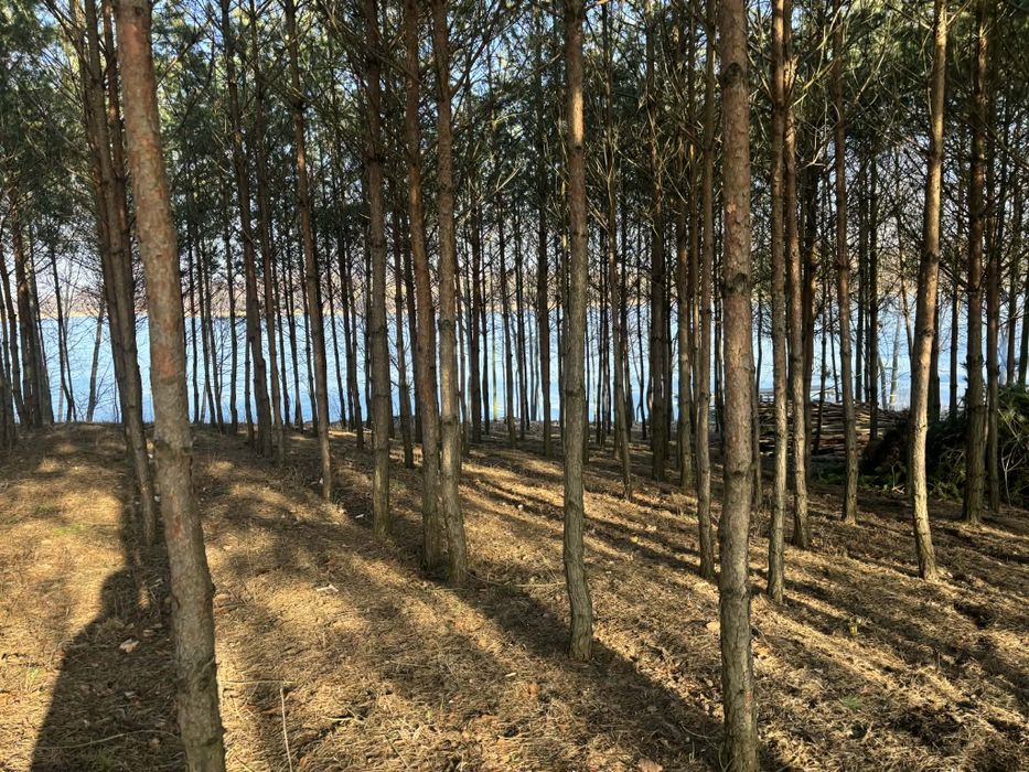 Domek nad jeziorem Chalińskim w Rybinach.