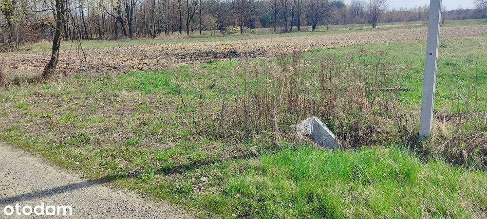 Działka budowlana 1351 m² - Piechoty gm. Padew Narodowa - Widok 4
