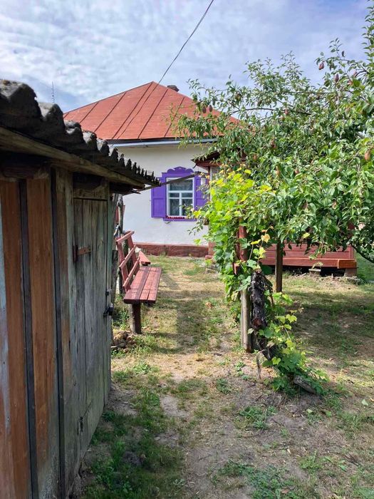 Будинок в мальовничому селі Коропʼє,що на Чернігівщині.