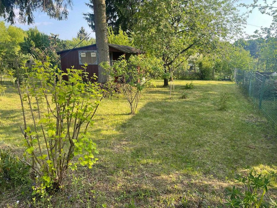 Duża działka ROD 580 m² | 2 połączone działki | Zbożowa | Lublin | prąd - Prikaz 6