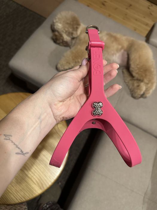 Шлея для песика Boneyfly розмір S