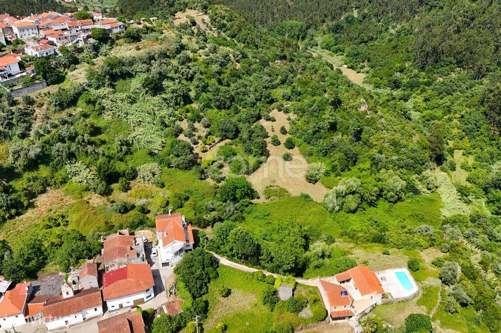 .Terreno Rustico | Bera |Almalaguês