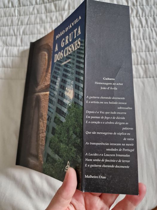 A Gruta dos Cisnes de João D'Ávila Editora Hugin