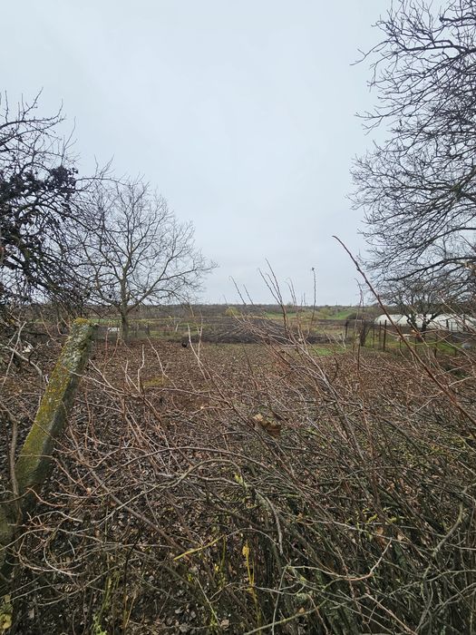 Дом в Одесской области‼️