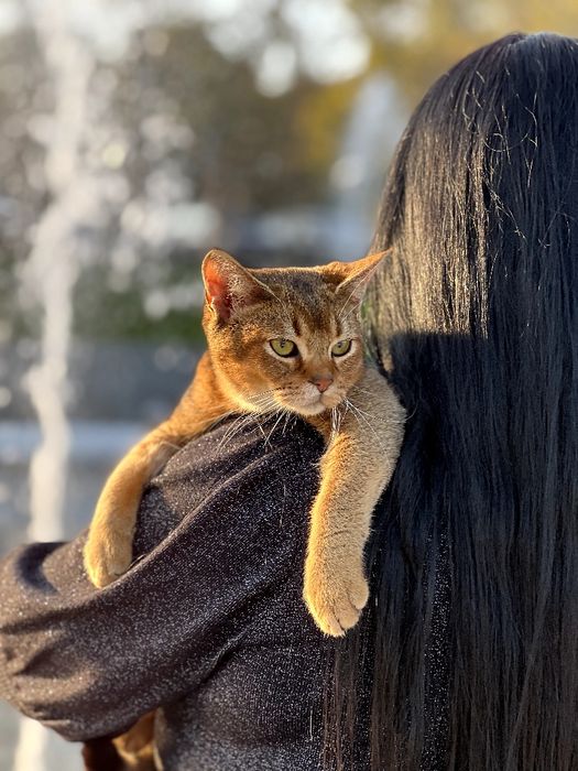 Шикарный ,нежный и ласковый мальчик