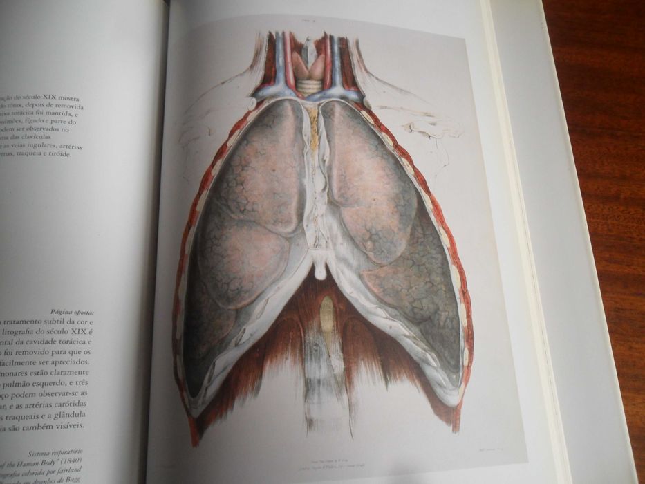 "Atlas da Arte Anatómica" de Dr. Luis Raúl Lépori 1ª Edição de 2006