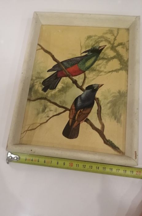 Quadros vintage 2423648105543116805