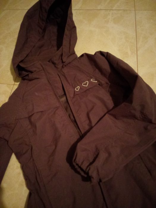 Kurteczka  przeciwdeszczowa wiosenna