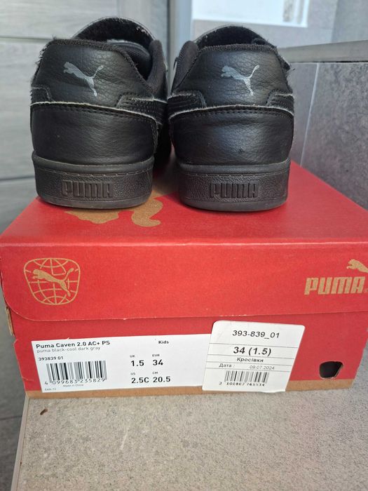 Кеди       Puma