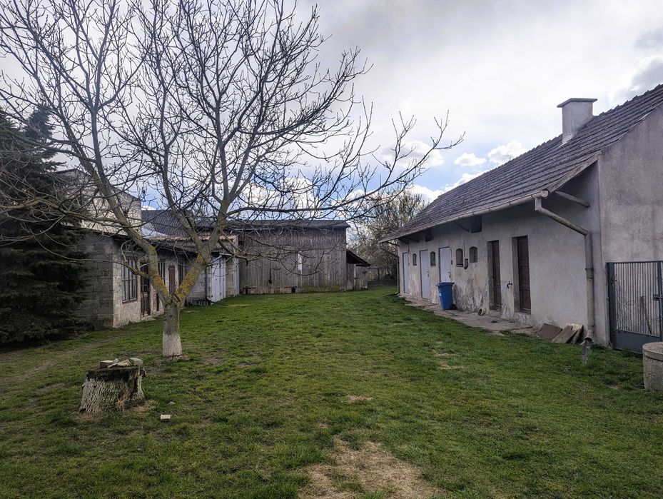 Działka budowlana + rolna - 1,2 ha, zabudowana nieruchomość (dom, budynki gospodarcze) Dylów Rządowy, gm. Pajęczno - Widok 2