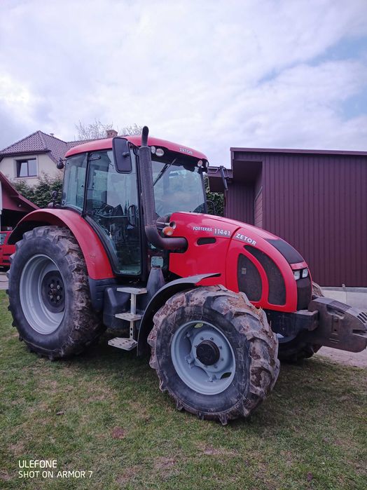 Odam suczke za darmo