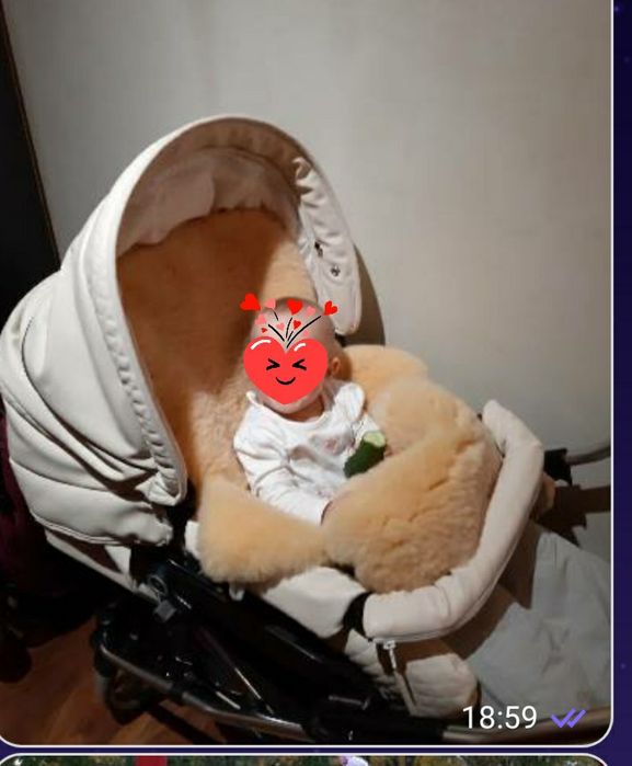 Коляска Emmaljunga 2 в 1