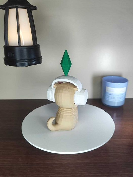 Котик башкотряс з Сімс