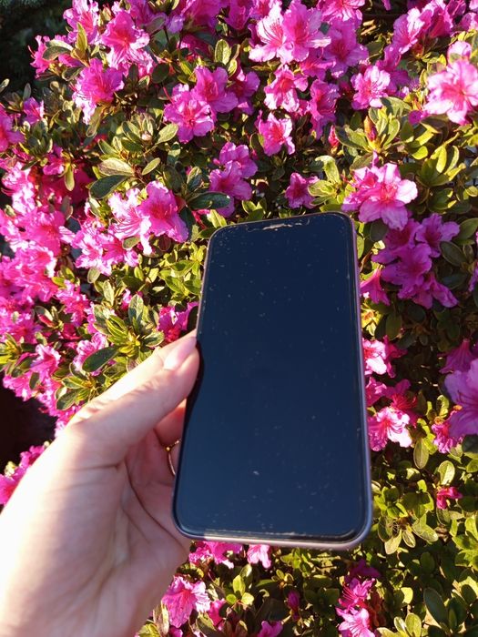 iPhone 11 z etui Guess
