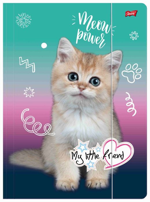 Teczka A4 z gumką My little friend. St. Majewski. Nowy Produkt