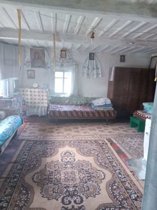 Будинок під дачу чи екоугіддя