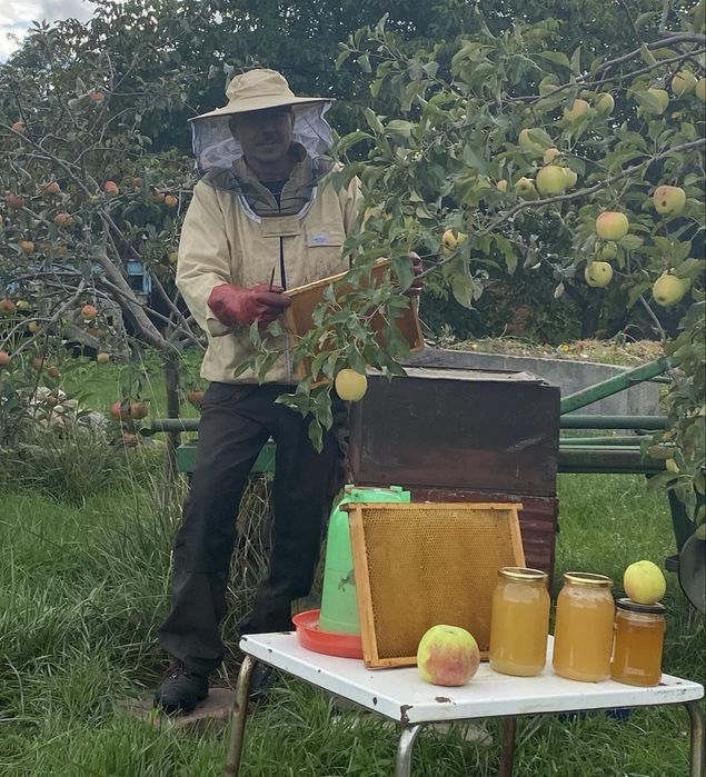 Miód pszczeli rózne rodzaje
