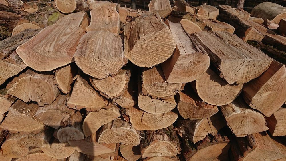 DREWNO KOMINKOWE Żary. Sezonowane Dąb Buk Grab opałowe Transport