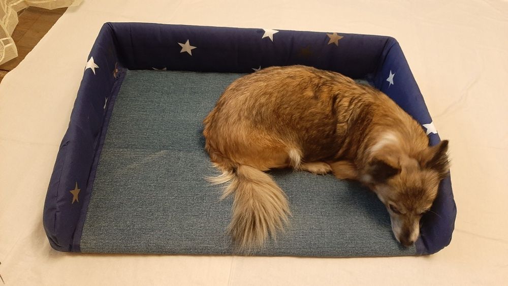 Лежаки для собачек