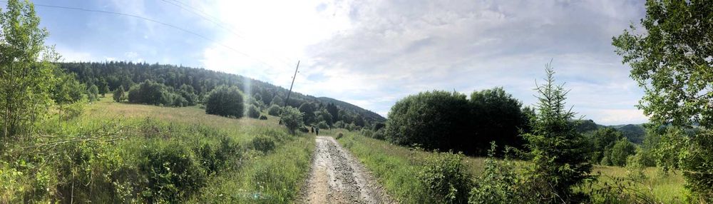 Ділянка, 60сот-5га, с.Буковець,Верховинського р-ну, Івано-Франк. обл.