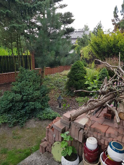 Wynajmę pokój jednoosobowy